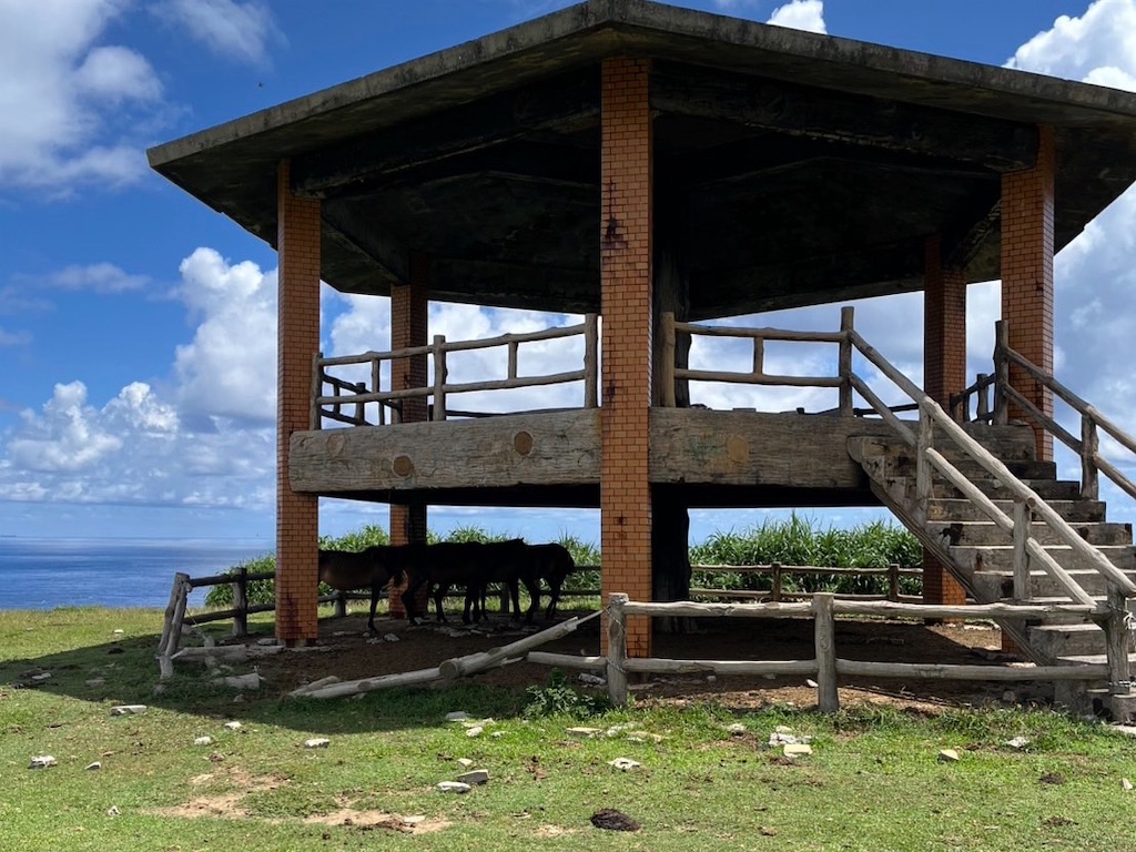 f:id:sirogomadog815:20251004201713j:image