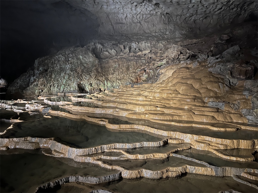 f:id:sirogomadog815:20251008174728j:image