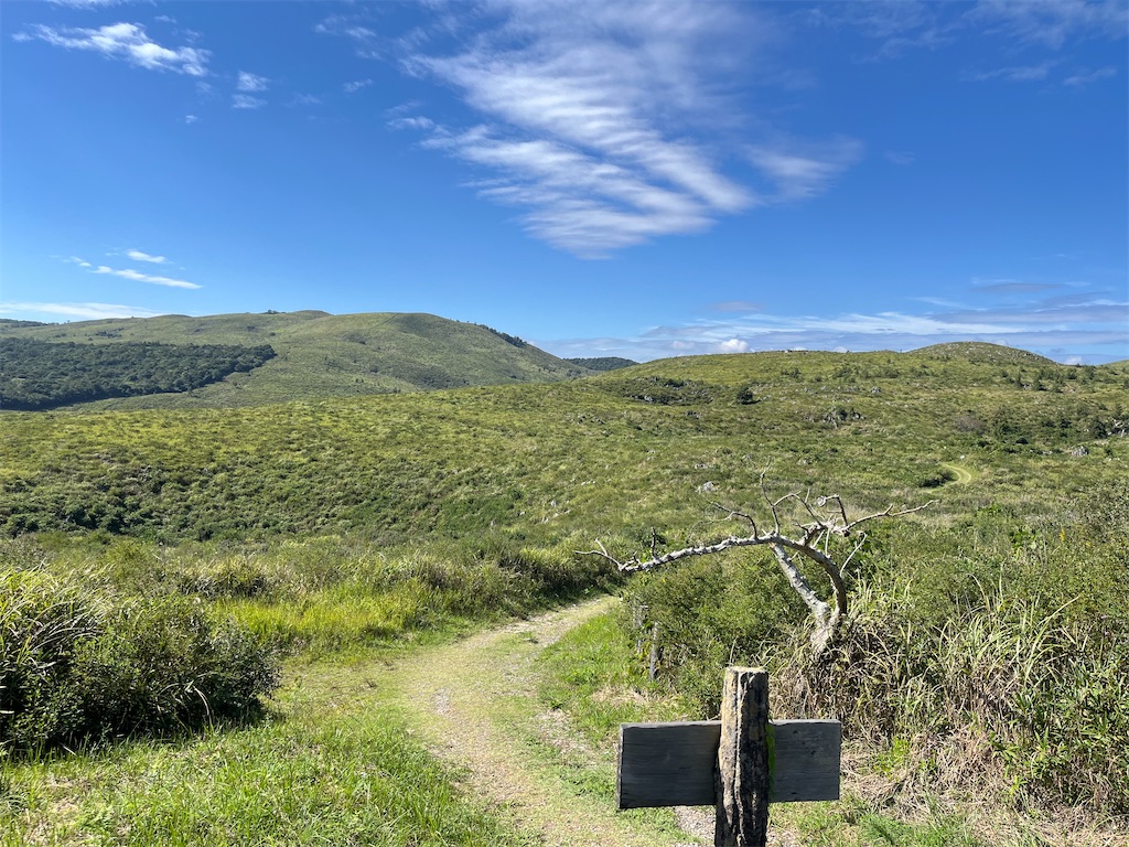 f:id:sirogomadog815:20251008174819j:image