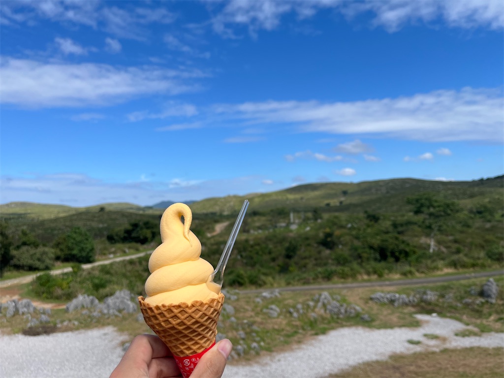 f:id:sirogomadog815:20251008174845j:image