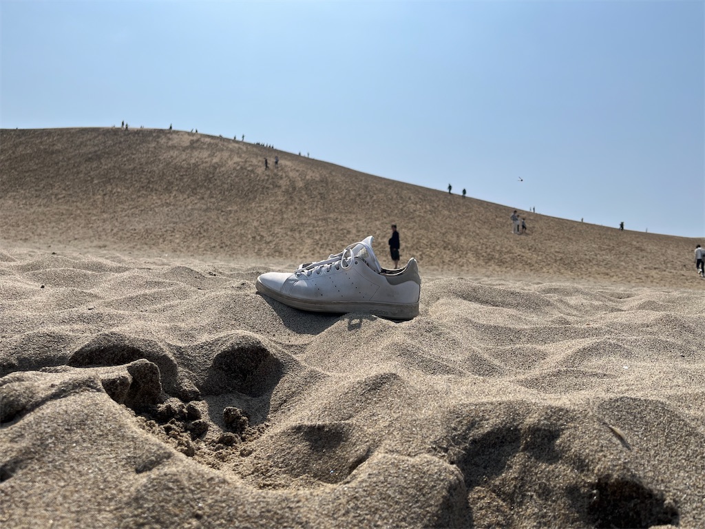 f:id:sirogomadog815:20251012205037j:image