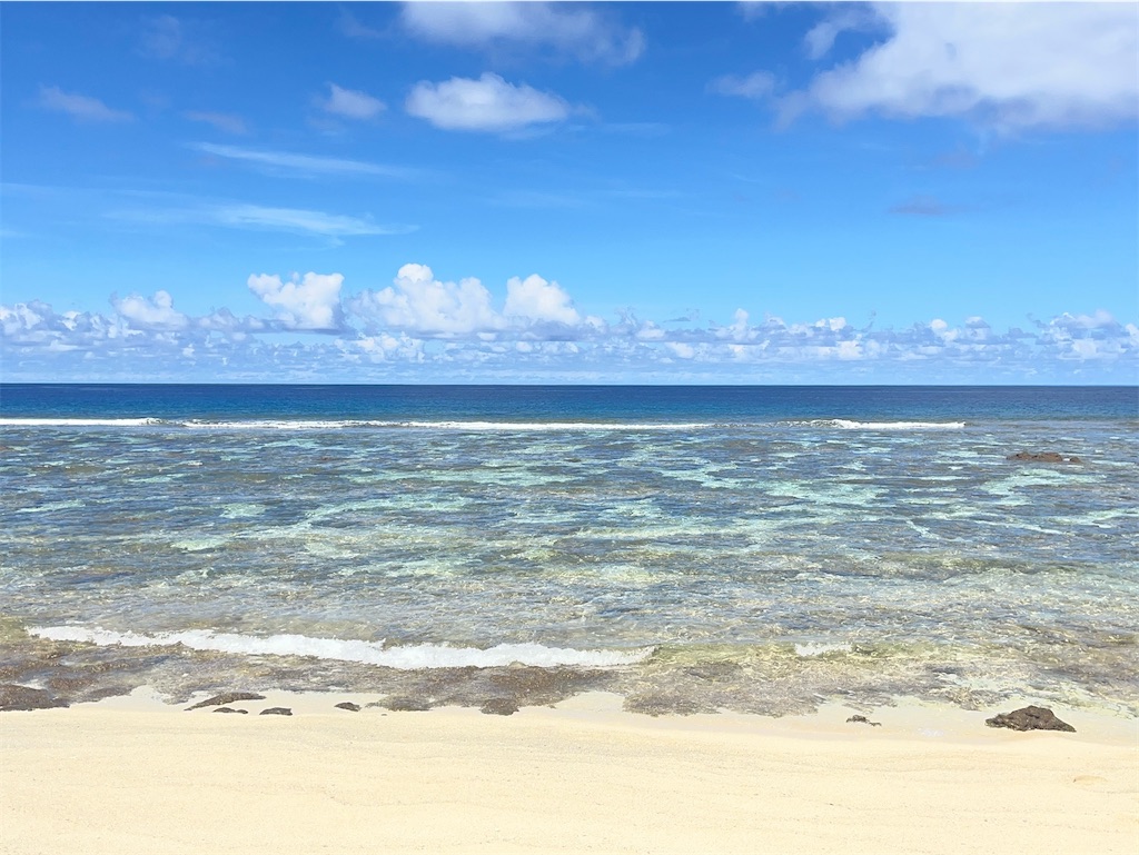 f:id:sirogomadog815:20251012205131j:image