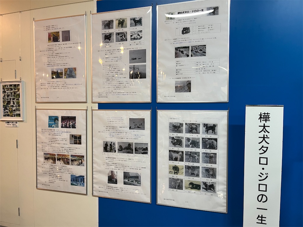 f:id:sirogomadog815:20251128213530j:image