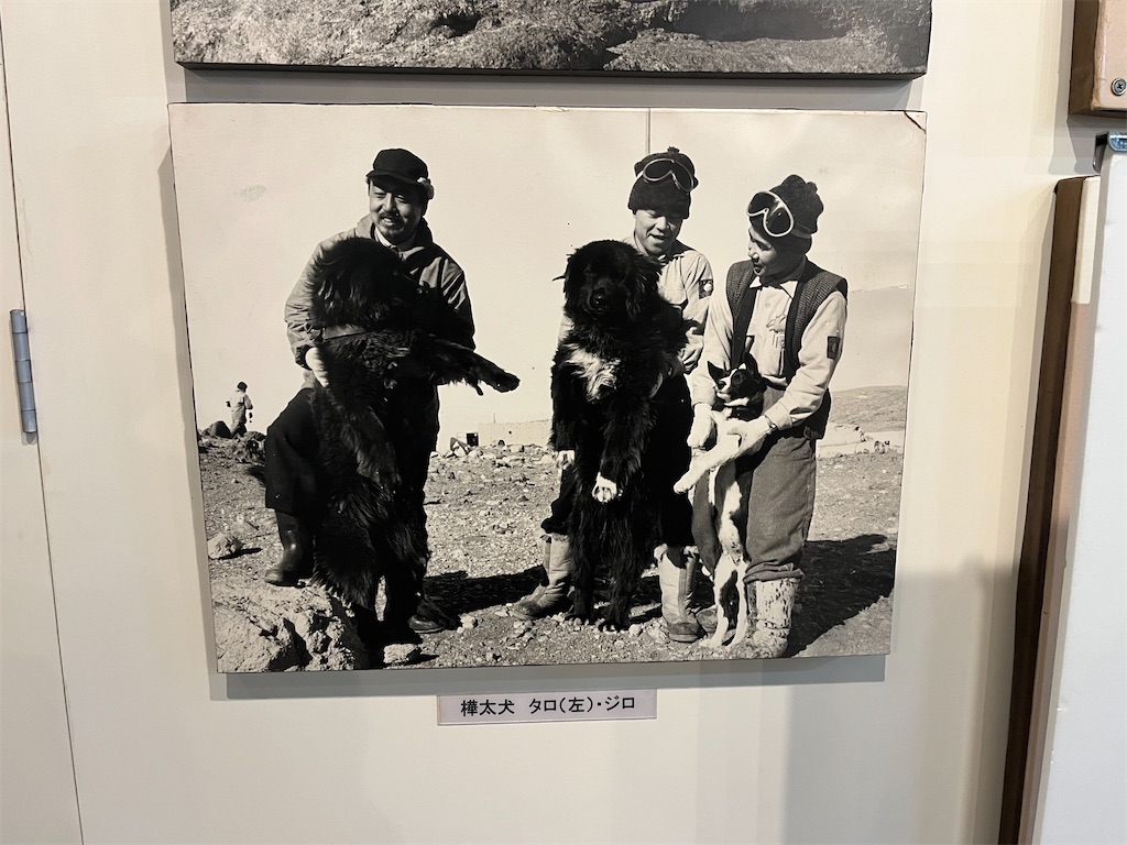 f:id:sirogomadog815:20251128213539j:image