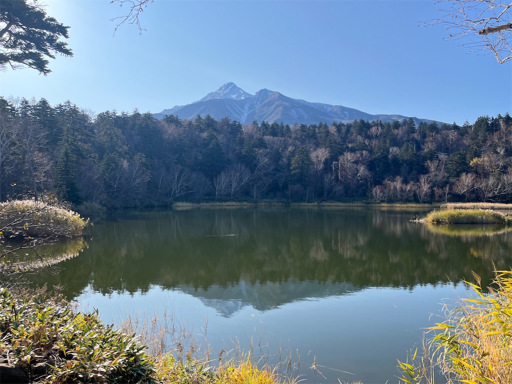 f:id:sirogomadog815:20251128213739j:image