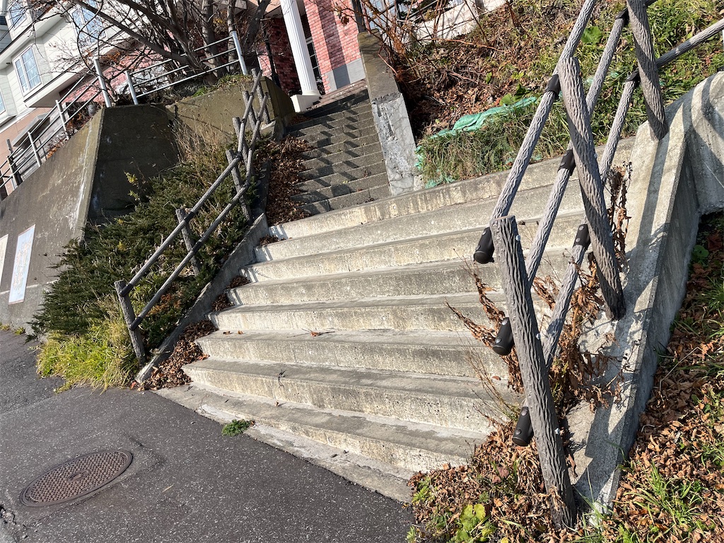 f:id:sirogomadog815:20251128213801j:image