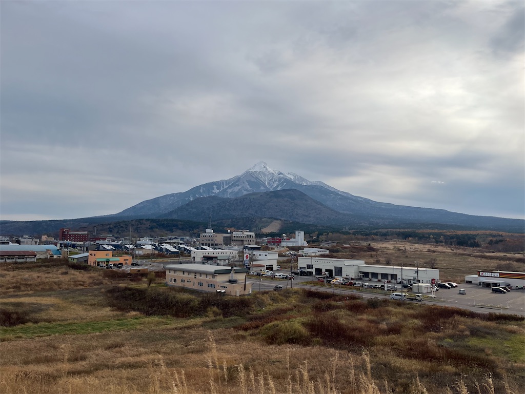 f:id:sirogomadog815:20251128213936j:image