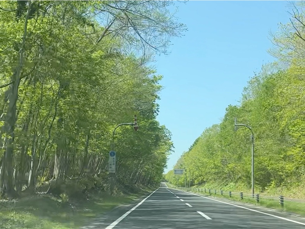 f:id:sirogomadog815:20251129225028j:image