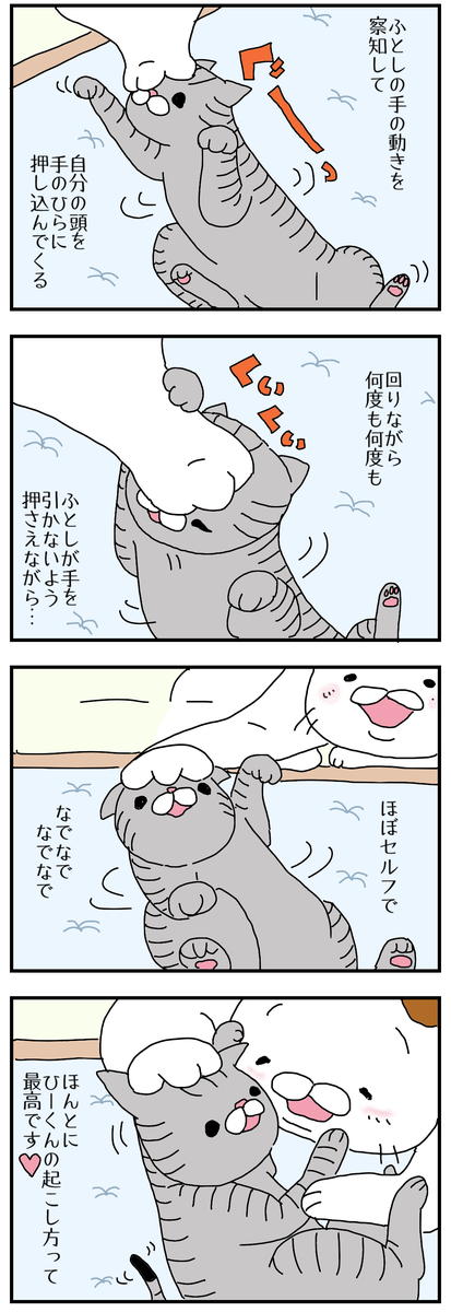 f:id:siroihutosi:20210913145538p:plain