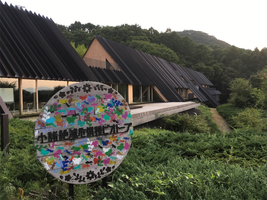 f:id:siroken:20190817213803j:image f:id:siroken:20190817213803j:image