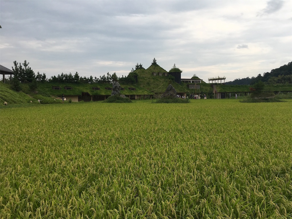 f:id:siroken:20190826121852j:image f:id:siroken:20190826121852j:image