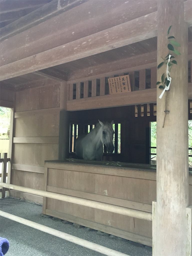f:id:siroken:20190827110502j:image f:id:siroken:20190827110502j:image