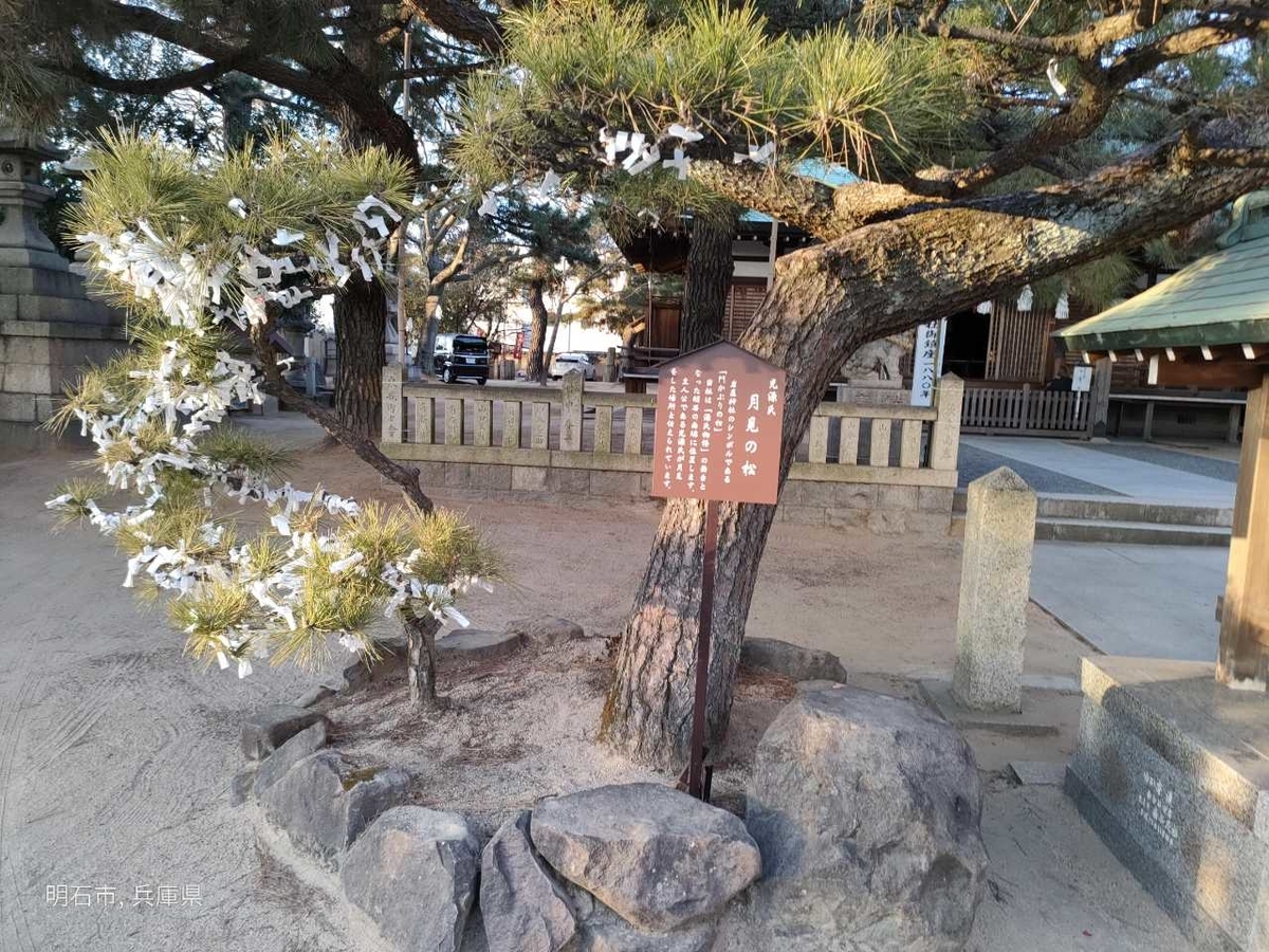 f:id:sirokumagogo1:20220209220014j:plain