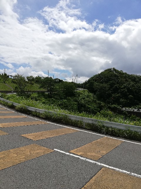 f:id:sirokumaojisan:20200716121053j:image f:id:sirokumaojisan:20200716121053j:image