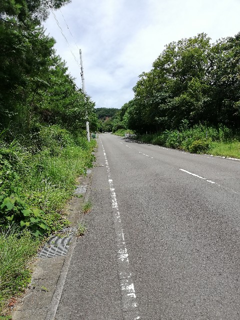 f:id:sirokumaojisan:20200716121200j:image f:id:sirokumaojisan:20200716121200j:image