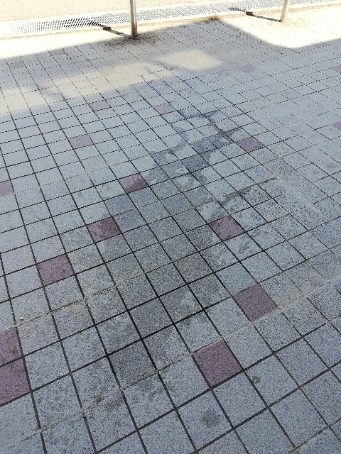 f:id:sirokumaojisan:20200812122155j:image f:id:sirokumaojisan:20200812122155j:image