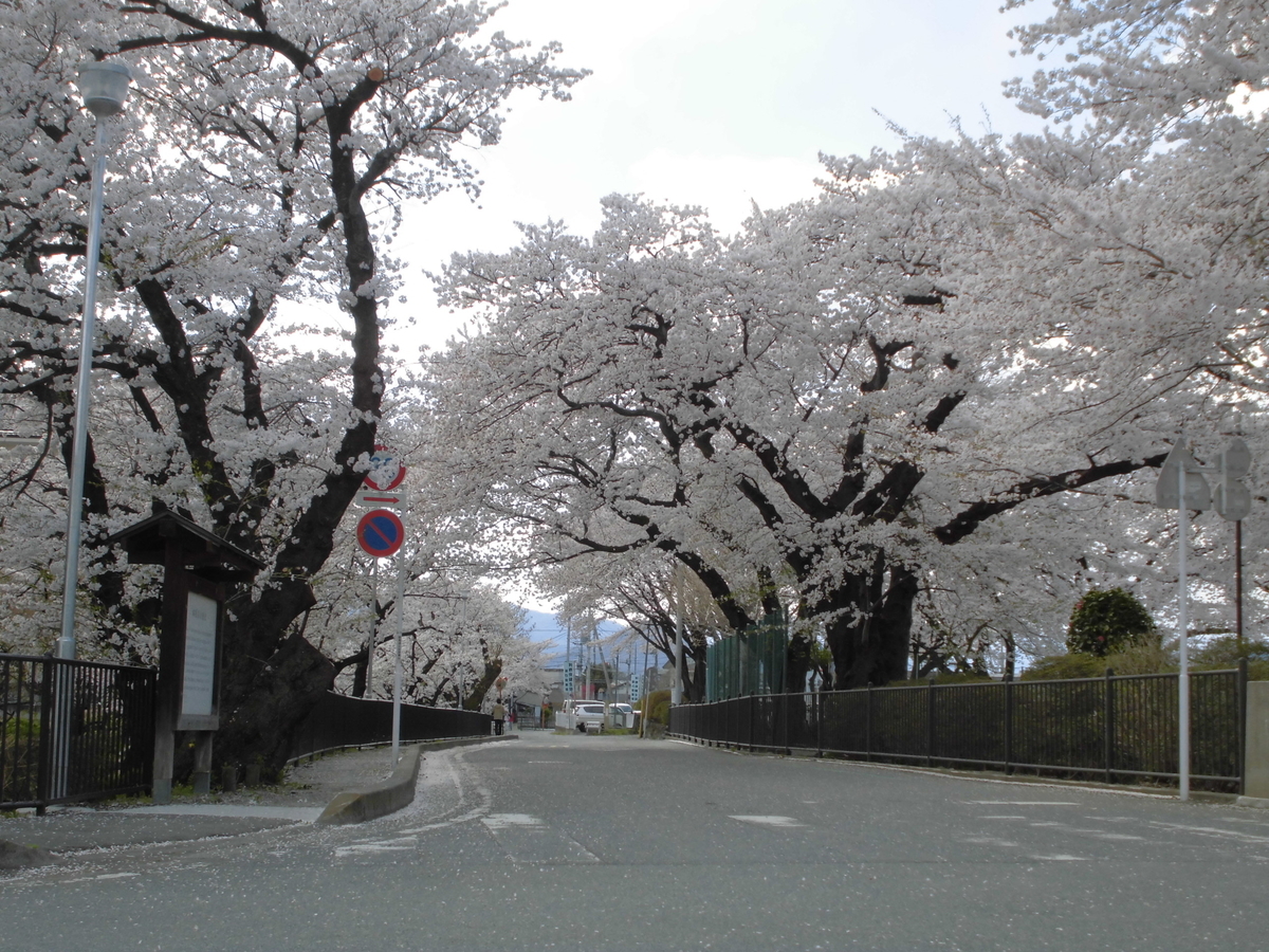 f:id:sirokumokaze:20200418202605j:plain f:id:sirokumokaze:20200418202605j:plain