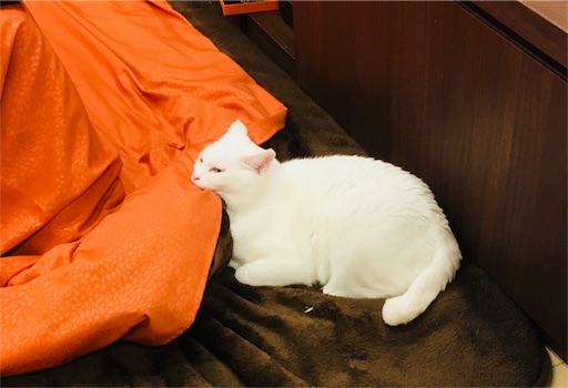 f:id:sironekounimaro:20180202101737j:image