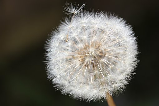 さいごの幕切れに遺贈寄附