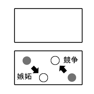 f:id:sirouto2:20071021175422g:image