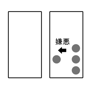 f:id:sirouto2:20071021175424g:image