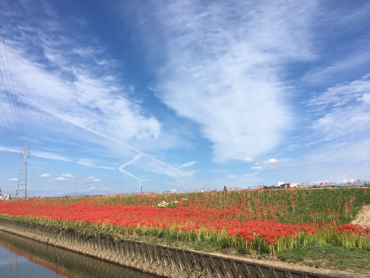 f:id:siroyama7:20191006122210j:plain