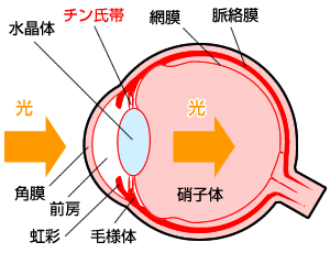 f:id:siryokukaizen:20190521060127j:plain
