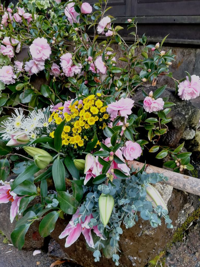 f:id:sisanunyoutamezo:20181210083740j:plain