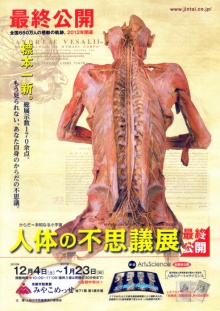 ♯025 人体の不思議展 - siseiryu美術館・博物館放浪記