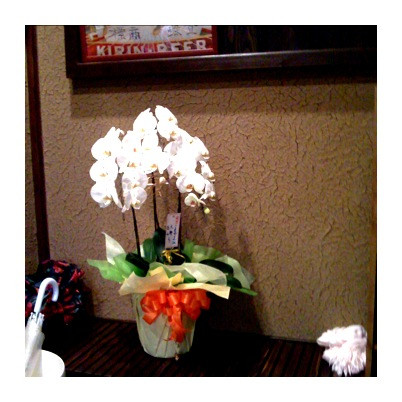 f:id:sisimaru_i:20081208223213j:image