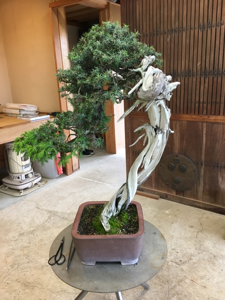 f:id:sissyduck:20180727233020j:plain f:id:sissyduck:20180727233020j:plain