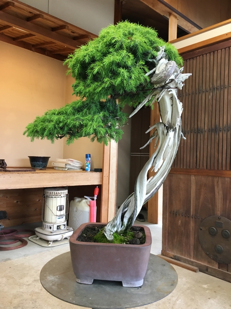 f:id:sissyduck:20180727233042j:plain f:id:sissyduck:20180727233042j:plain