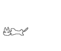 ネコがいます