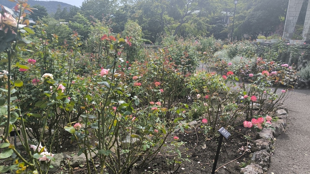 強羅公園