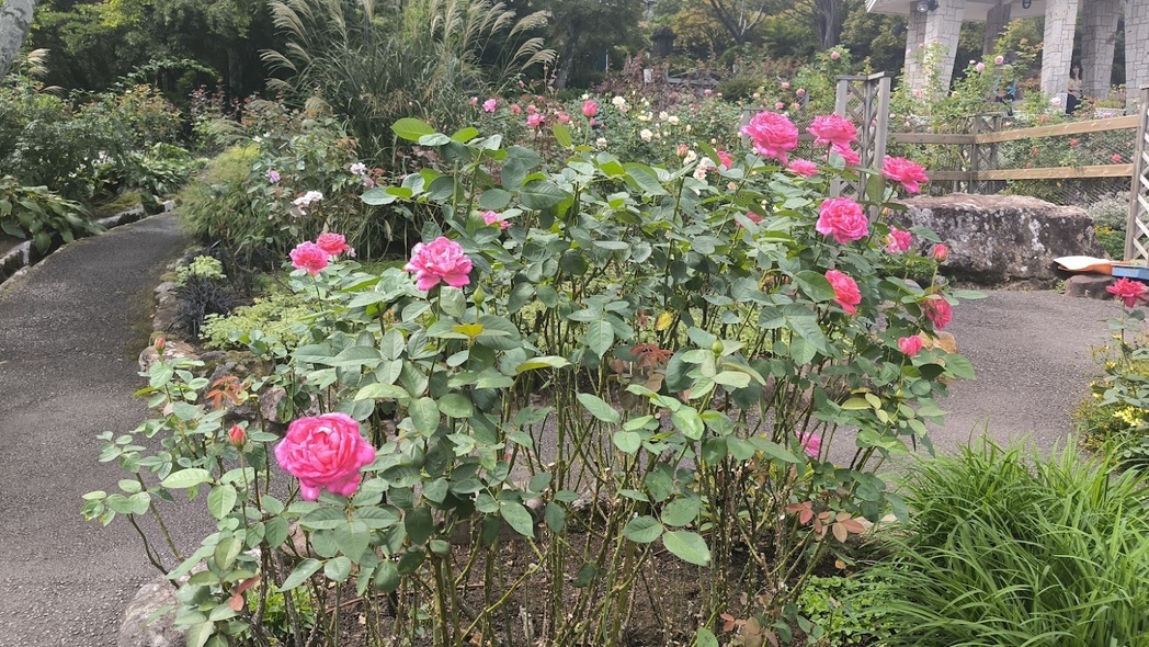 強羅公園