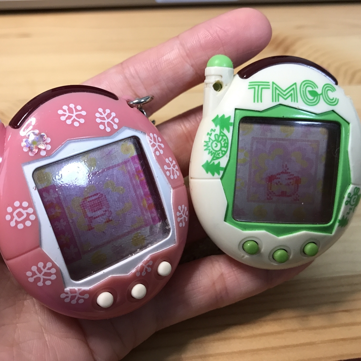 おやじっち誕生、たまごっちチャレンジはこれにて終了 - 手探り