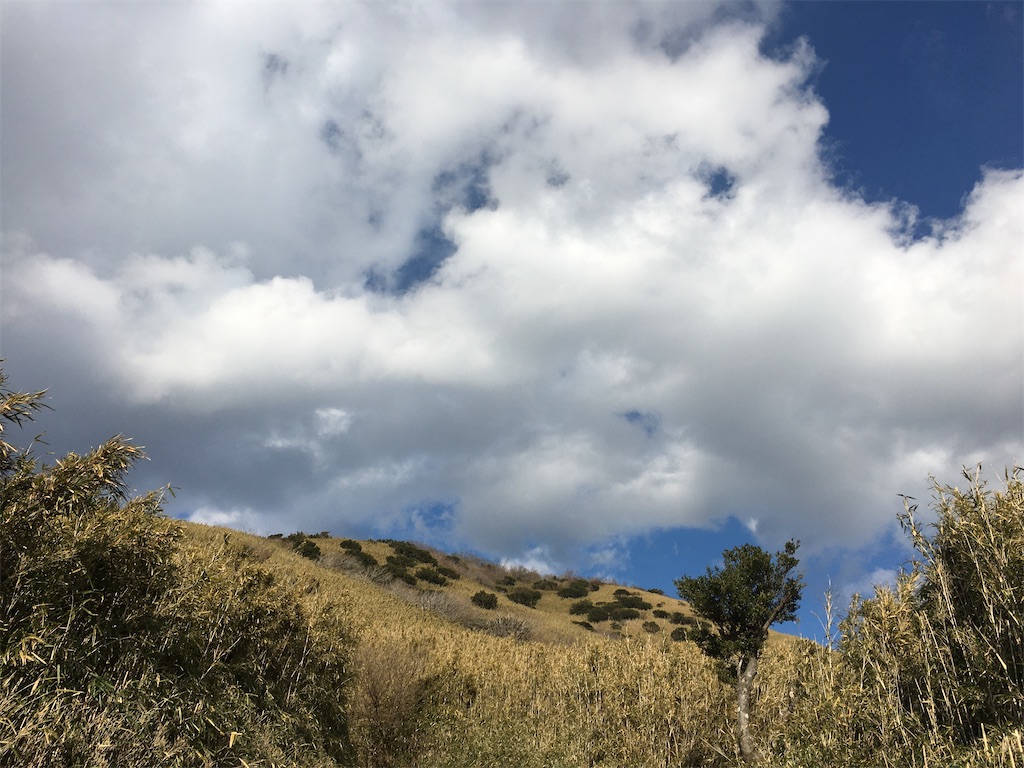 f:id:situkoblog48:20220220092442j:image f:id:situkoblog48:20220220092442j:image