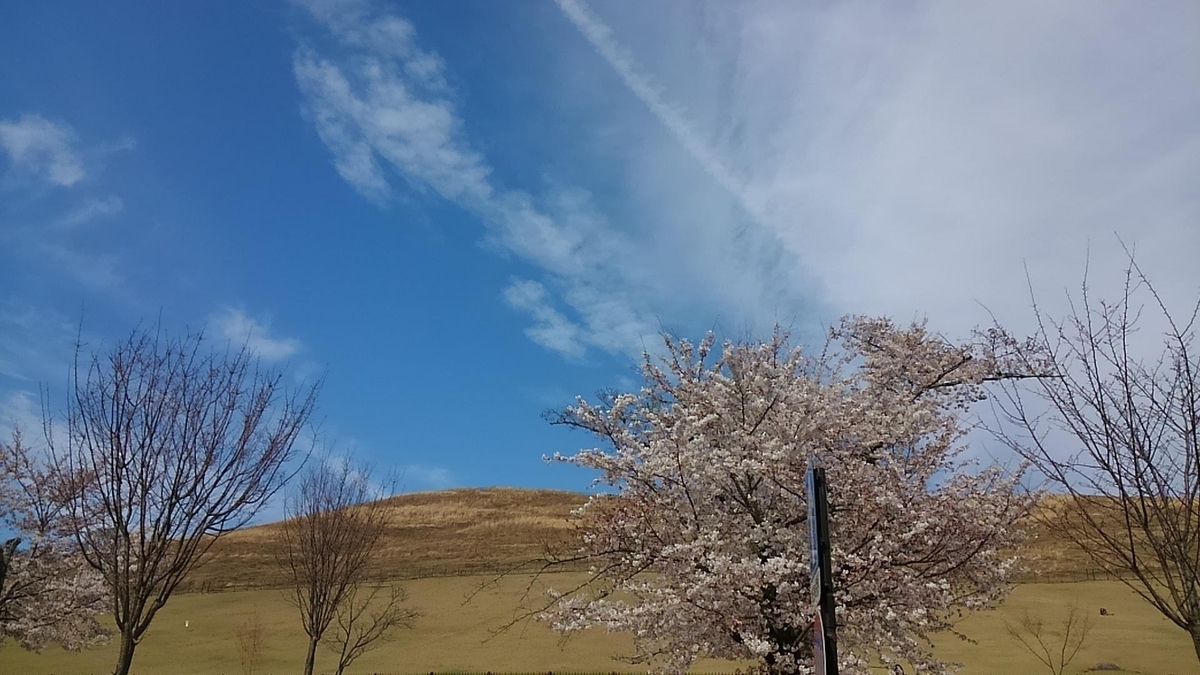 f:id:situkoblog48:20220407074047j:plain