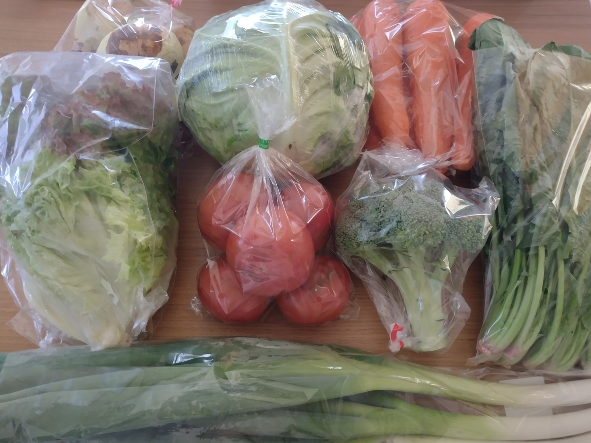 f:id:situkoblog48:20220409090423j:plain