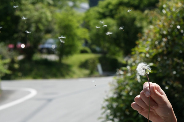 f:id:siu_suke:20090610002508j:image f:id:siu_suke:20090610002508j:image