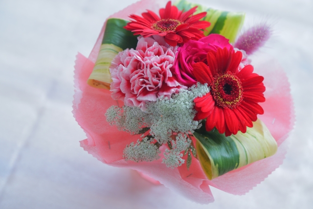 f:id:sivaRanking:20200607143512j:plain f:id:sivaRanking:20200607143512j:plain