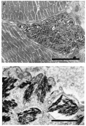 f:id:sivad:20140201162209j:image f:id:sivad:20140201162209j:image