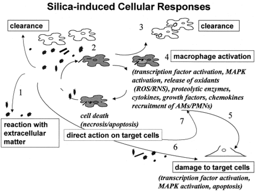 f:id:sivad:20140528191849g:image