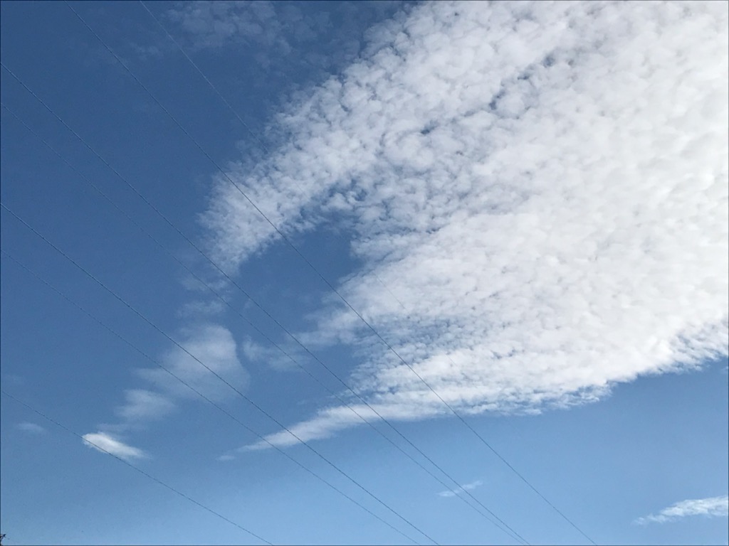 f:id:sixleaves:20201130113825j:plain