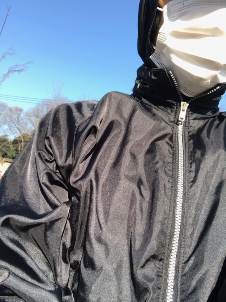 f:id:sixleaves:20210109162110j:plain