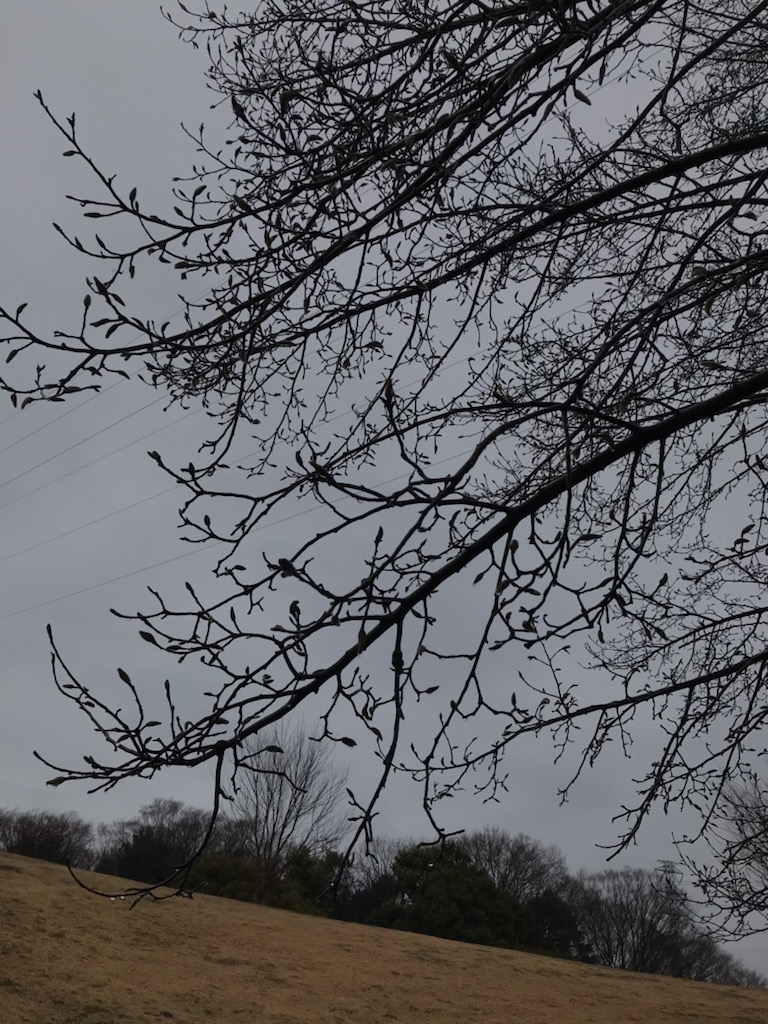 f:id:sixleaves:20210124151623j:plain
