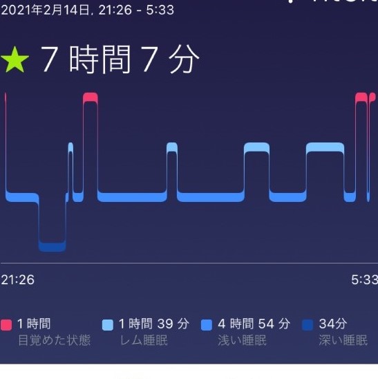 f:id:sixleaves:20210214155840j:plain