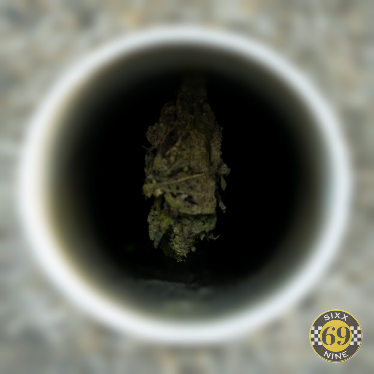 f:id:sixx-nine:20200413030811j:plain