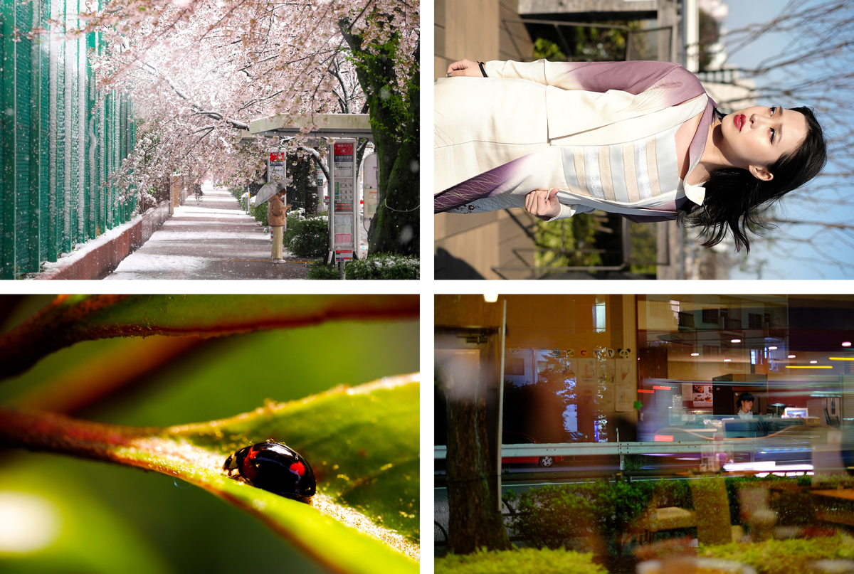 f:id:sixx-nine:20200903121700j:plain