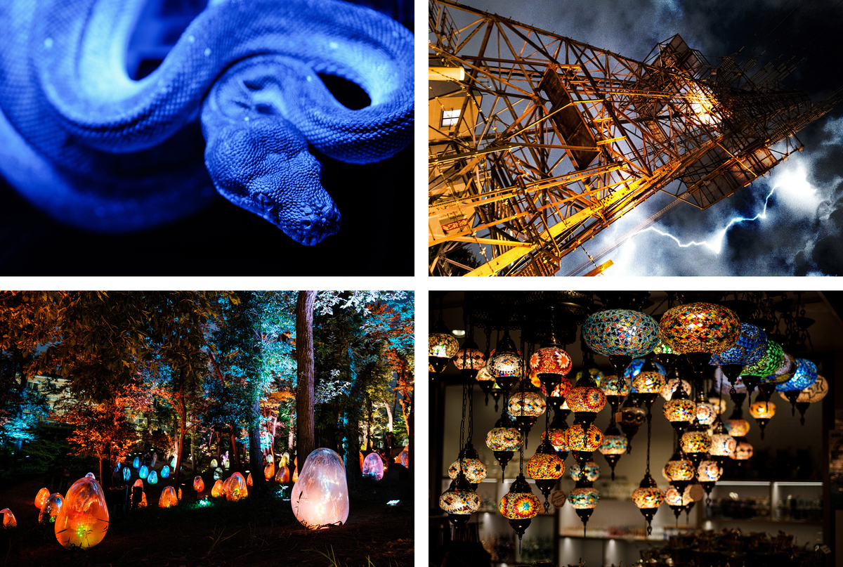 f:id:sixx-nine:20200903122331j:plain